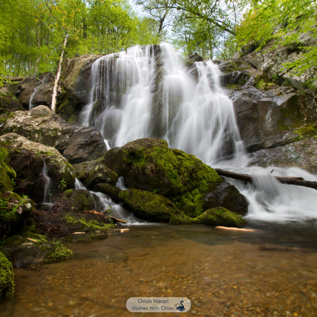 Nature Water Falls in Asheville NC - Retiring in Asheville NC
